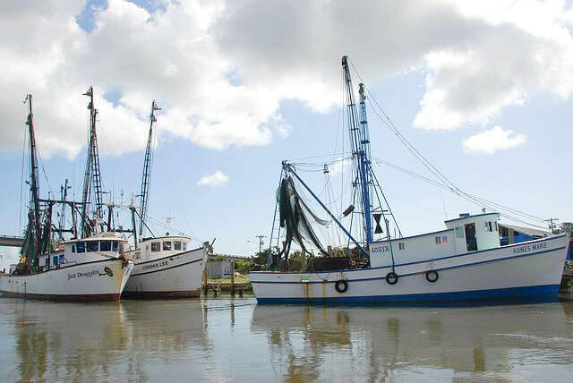 fishing boats